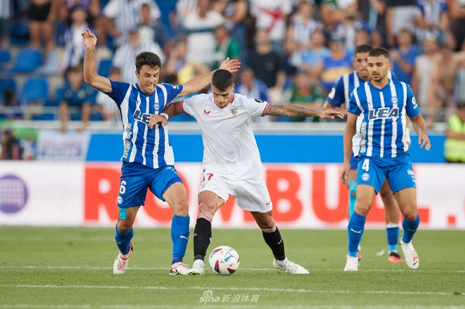 很可能在今 很可能在今