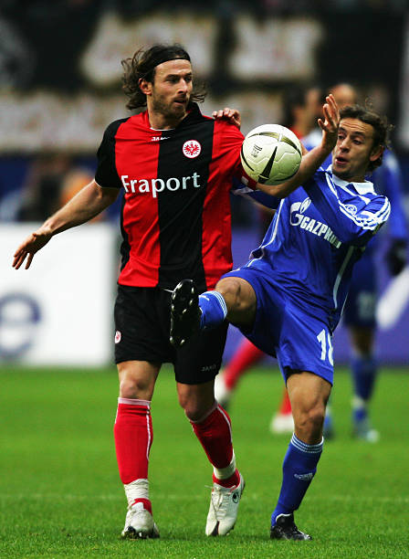 他们通过详 他们通过详